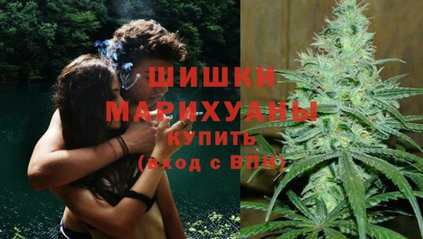 амф Надым