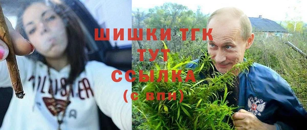 крисы Наволоки