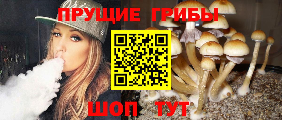 Галлюциногенные грибы мицелий Тихорецк
