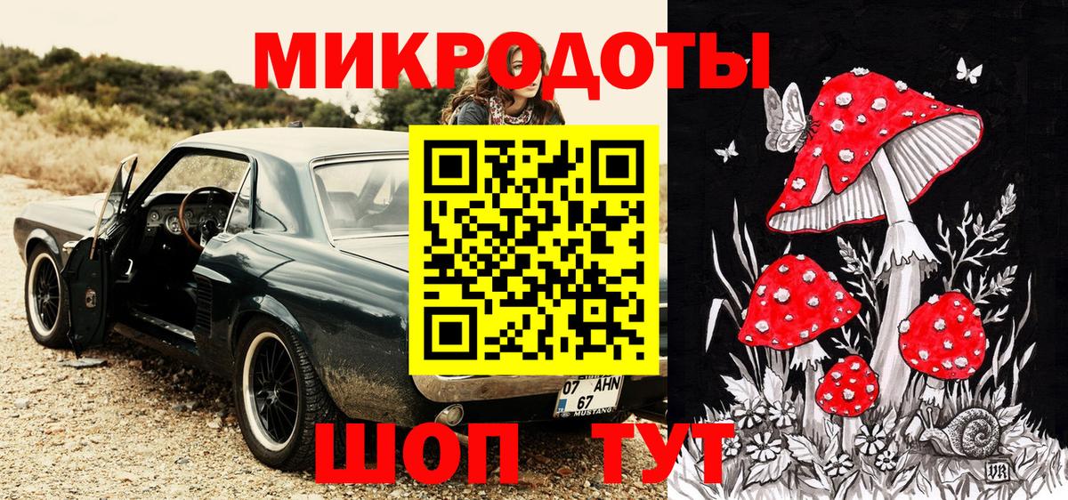 Галлюциногенные грибы Psilocybe  Вход с VPN  Тихорецк 